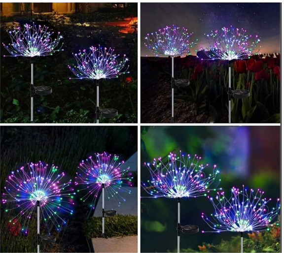 25306
